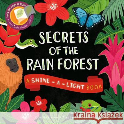 Secrets of the Rain Forest Carron Brown Alyssa Nassner 9781610673259 Kane/Miller Book Publishers