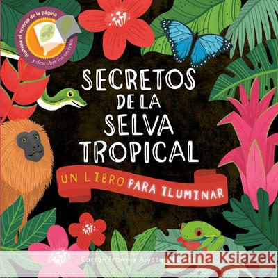 Secretos de la Selva Tropical Carron Brown Alyssa Nassner Ana Gal?n 9781610679541 Kane/Miller Book Publishers