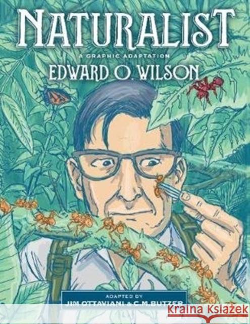 Naturalist: A Graphic Adaptation Edward O. Wilson Jim Ottaviani C. M. Butzer 9781610919586 Island Press