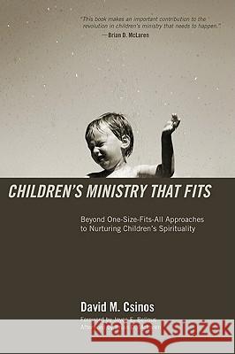 Children's Ministry That Fits David M. Csinos Brian McLaren Joyce E. Bellous 9781610971218