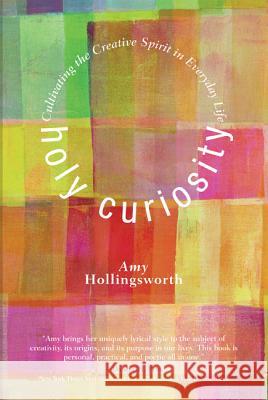 Holy Curiosity: Cultivating the Creative Spirit in Everyday Life Amy Hollingsworth 9781610973311