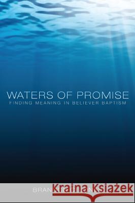 Waters of Promise: Finding Meaning in Believer Baptism Jones, Brandon C. 9781610976282