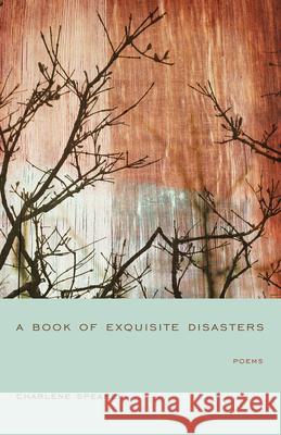 A Book of Exquisite Disasters Charlene Monahan Spearen Kwame Dawes 9781611170894 University of South Carolina Press