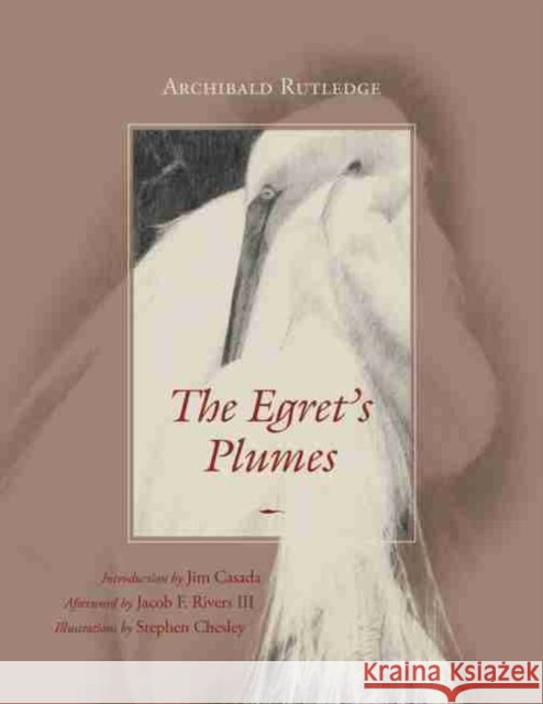 The Egret's Plumes Archibald Rutledge Stephen Chesley Jacob F. River 9781611176728 University of South Carolina Press
