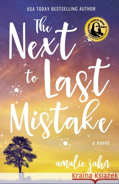 The Next to Last Mistake Amalie Jahn 9781611532647