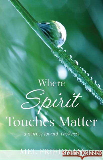 Where Spirit Touches Matter: a journey toward wholeness Melvin R Friedman 9781611534238