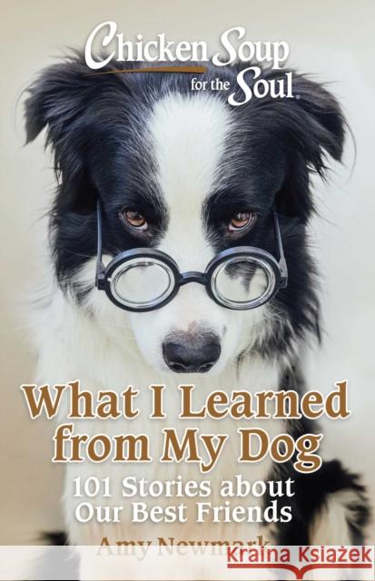 Chicken Soup for the Soul: What I Learned from My Dog Amy Newmark 9781611591194 Chicken Soup for the Soul