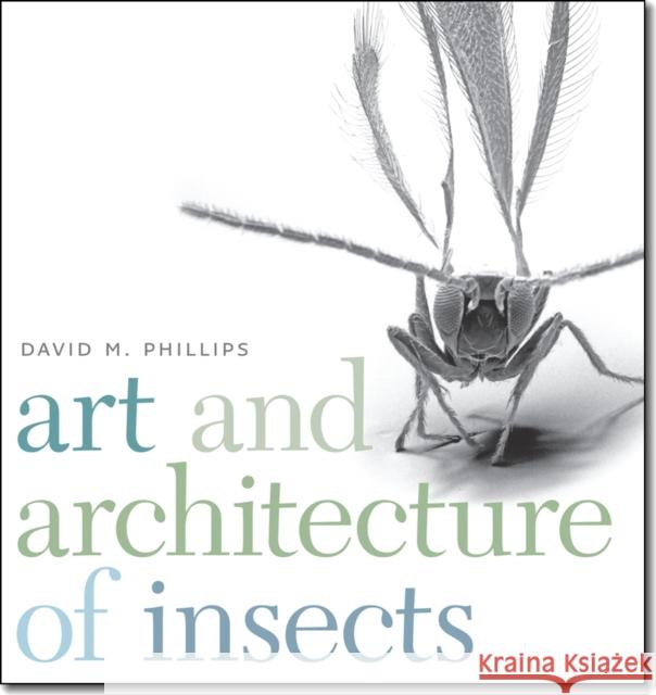 Art and Architecture of Insects David M. Phillips 9781611685329 University Press of New England