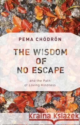 The Wisdom of No Escape: And the Path of Loving-Kindness Pema Chodron 9781611806052 Shambhala