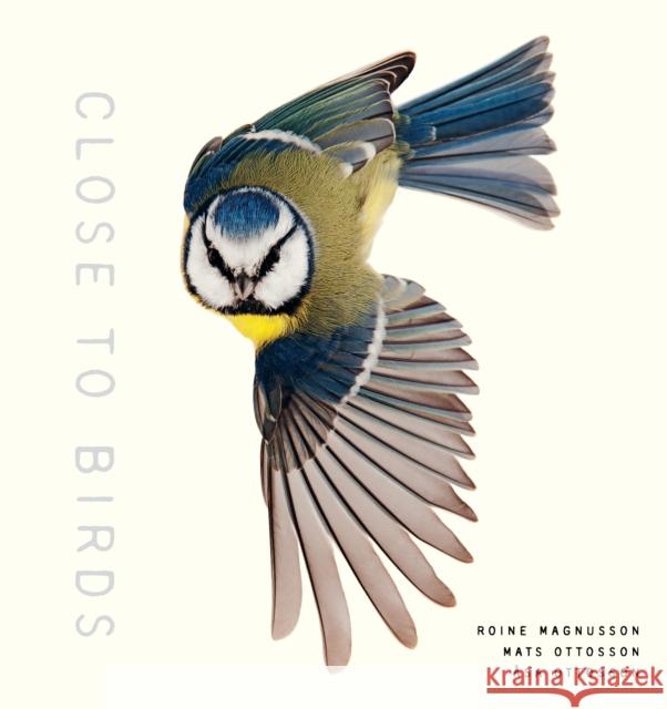 Close to Birds: An Intimate Look at Our Feathered Friends Roine Magnusson Mats Ottoson Asa Ottoson 9781611807103