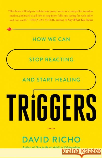 Triggers: How We Can Stop Reacting and Start Healing David Richo 9781611807653