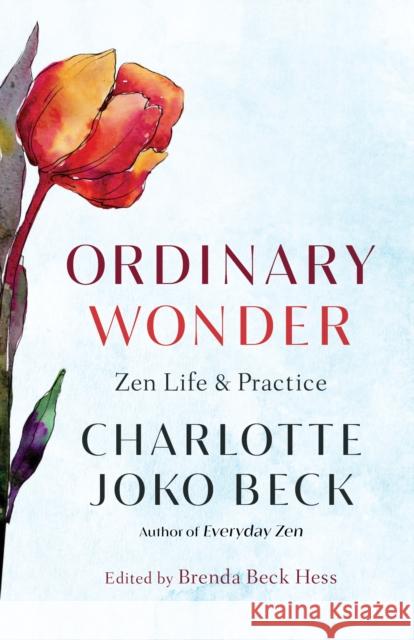 Ordinary Wonder: Zen Life and Practice Charlotte Jok Brenda Beck Hess 9781611808773