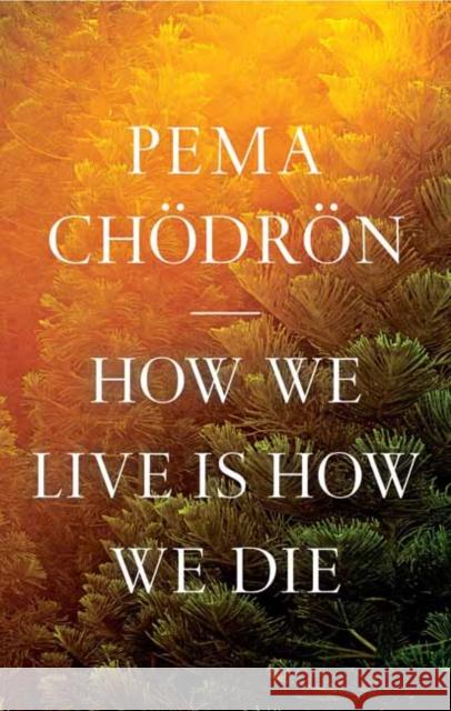 How We Live Is How We Die Ch 9781611809244 Shambhala Publications Inc