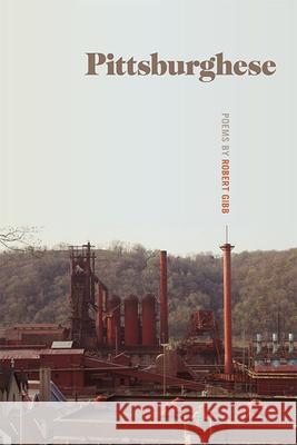 Pittsburghese Robert Gibb 9781611864878 Wheelbarrow Books
