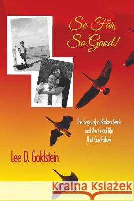 So Far, So Good: The Saga of a Broken Neck and the Good Life That Can Follow Lee D. Goldstein 9781611878004 Untreed Reads Publishing