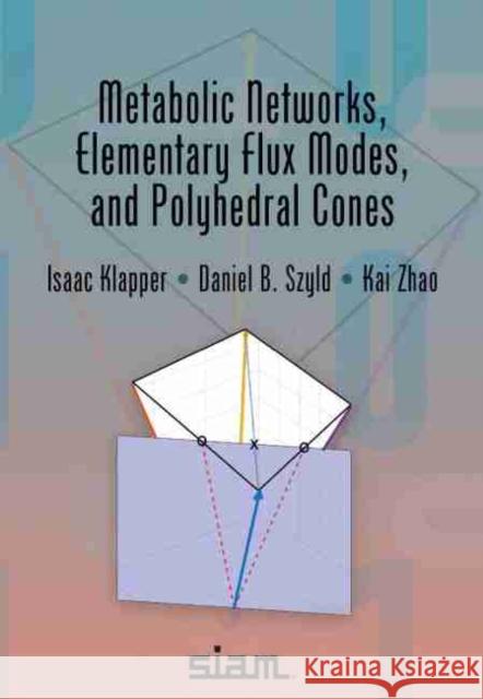 Metabolic Networks, Elementary Flux Modes, and Polyhedral Cones Daniel B. Szyld, Isaac Klapper, Kai Zhao 9781611976526 Eurospan (JL)