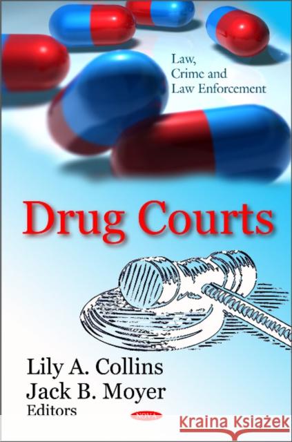 Drug Courts Lily A Collins, Jack B Moyer 9781612093727