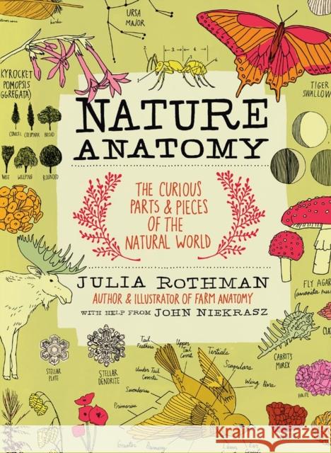 Nature Anatomy: The Curious Parts and Pieces of the Natural World Julia Rothman 9781612122311 Workman Publishing