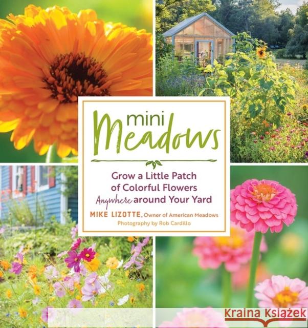 Mini Meadows: Grow a Little Patch of Colorful Flowers Anywhere Around Your Yard Mike Lizotte 9781612128351 Storey Publishing