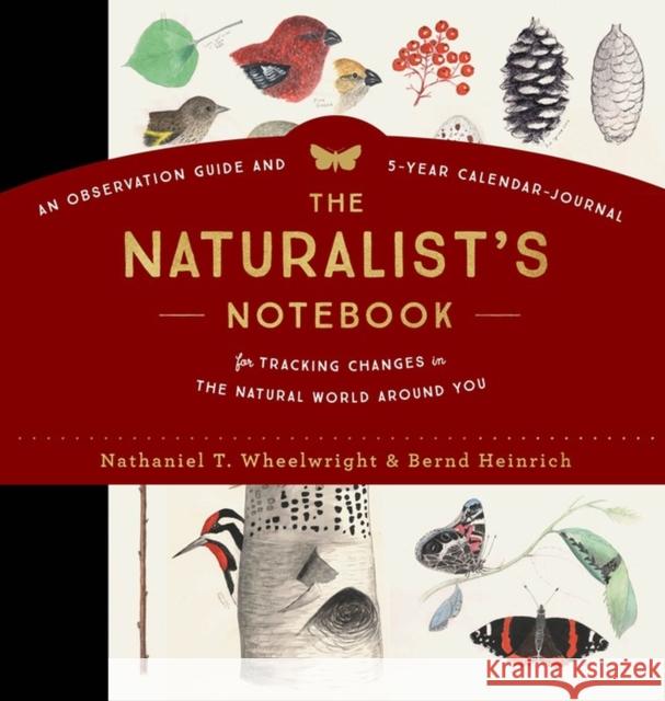 The Naturalist's Notebook: An Observation Guide and 5-Year Calendar-Journal for Tracking Changes in the Natural World around You Nathaniel T. Wheelwright 9781612128894