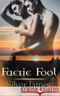 Faerie Fool Silver James 9781612175591