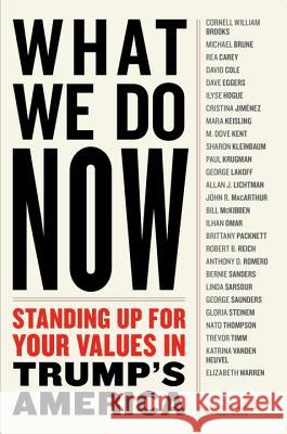 WHAT WE DO NOW : Standing Up for Your Values in Trump's America Dennis Johnson Valerie Merians 9781612196596 Melville House Publishing