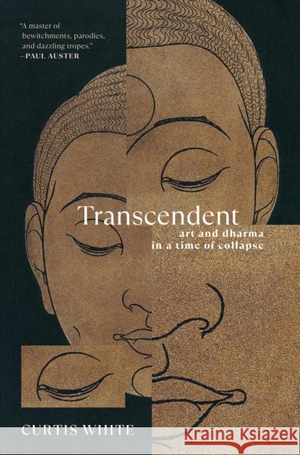 Transcendent: Art and Dhama in a Time of Collapse Curtis White 9781612199948