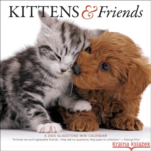 Kittens & Friends Square Mini Calendar 2025 Gladstone Media 9781612235608