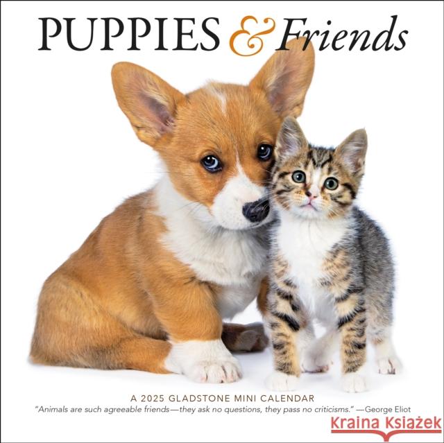 Puppies & Friends Mini Wall Calendar 2025 Gladstone Media 9781612235646