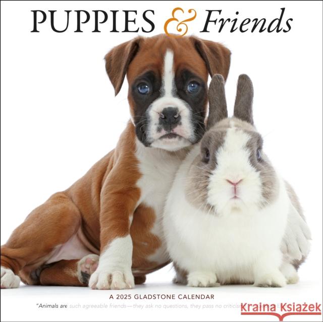 Puppies & Friends Square Wall Calendar 2025 Gladstone Media 9781612235653