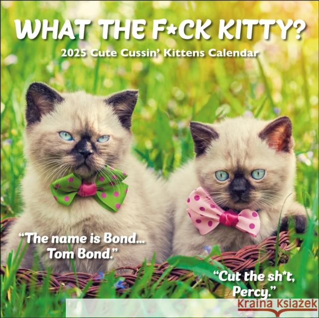 What the F*ck Kitty? Square Wall Calendar 2025 Gladstone Media 9781612235707