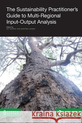 The Sustainability Practitioner's Guide to Multi-Regional Input-Output Analysis Joy Murray Manfred Lenzen  9781612291901