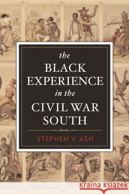 The Black Experience in the Civil War South Stephen Ash 9781612346298 0