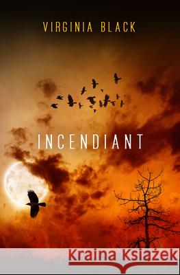 Incindiant  9781612943176 Bywater Books