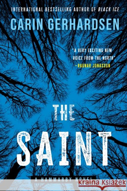 Saint Carin Gerhardsen 9781613165553