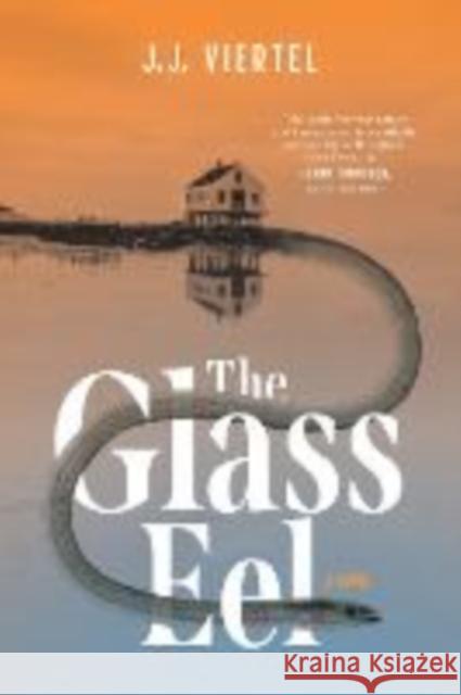 The Glass Eel J. J. Viertel 9781613166802 Mysterious Press