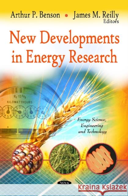 New Developments in Energy Research Arthur P Benson, James M Reilly 9781613243763