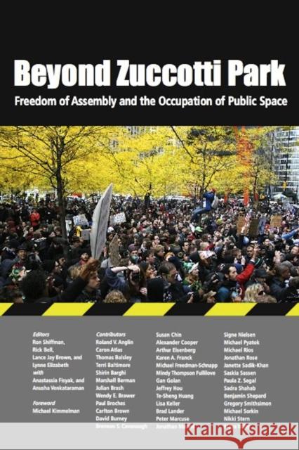 Beyond Zuccotti Park: Freedom of Assembly and the Occupation of Public Space Shiffman, Ronald 9781613320099 New Village Press