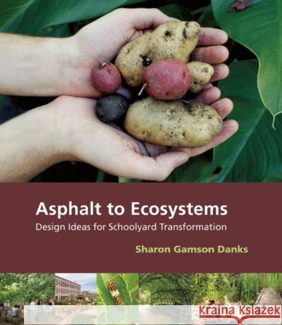 Asphalt to Ecosystems: Design Ideas for Schoolyard Transformation Sharon Gamson Danks 9781613320792 New Village Press