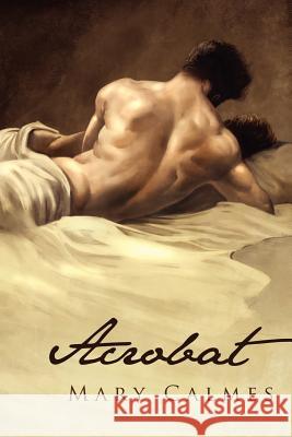 Acrobat Mary Calmes 9781613725009 Dreamspinner Press