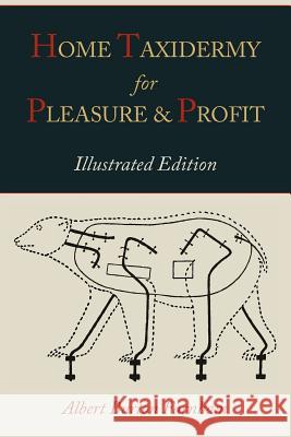 Home Taxidermy for Pleasure and Profit [Illustrated Edition] Albert Burton Farnham 9781614271680 Martino Fine Books