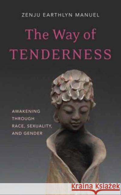 Way of Tenderness: Awakening Through Race, Sexuality, and Gender Zenju Earthlyn Manuel 9781614291251