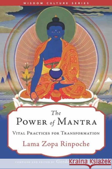 The Power of Mantra: Vital Energy for Transformation Lama Zopa Rinpoche 9781614297277