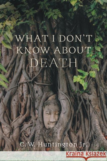 What I Don't Know About Death: Reflections on Buddhism and Mortality  9781614297505 Wisdom Publications,U.S.