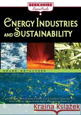 Energy Industries and Sustainability Ray C. Anderson 9781614729907 Berkshire Publishing Group