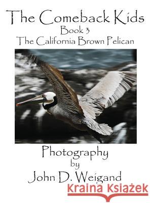 The Comeback Kids, Book 3, the California Brown Pelican Penelope Dyan John D. Weigand 9781614772149 Bellissima Publishing