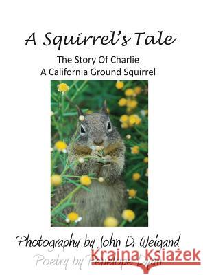 A Squirrel's Tale, the Story of Charlie, a California Ground Squirrel Penelope Dyan John D. Weigand 9781614772187 Bellissima Publishing