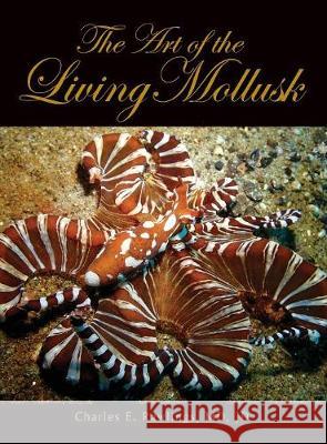 The Art of Living Mollusks Jd Charles Rawling 9781614936206 Peppertree Press