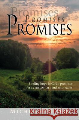 Promises, Promises, Promises Michelle T. Ford 9781615000104