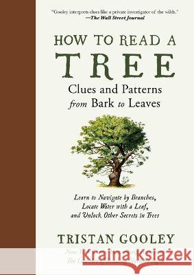 How to Read a Tree: Clues and Patterns from Bark to Leaves Tristan Gooley 9781615199433 Experiment